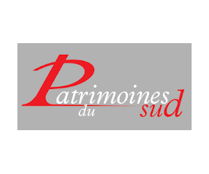 Logo PDS