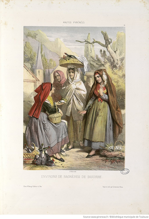 Lithographie : Environs de Bagnères de Bigorre (Hautes Pyrénées, 10).