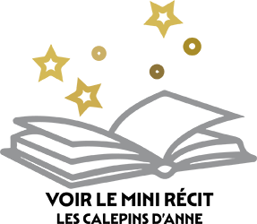 Mini récit "Les calepins d'Anne"