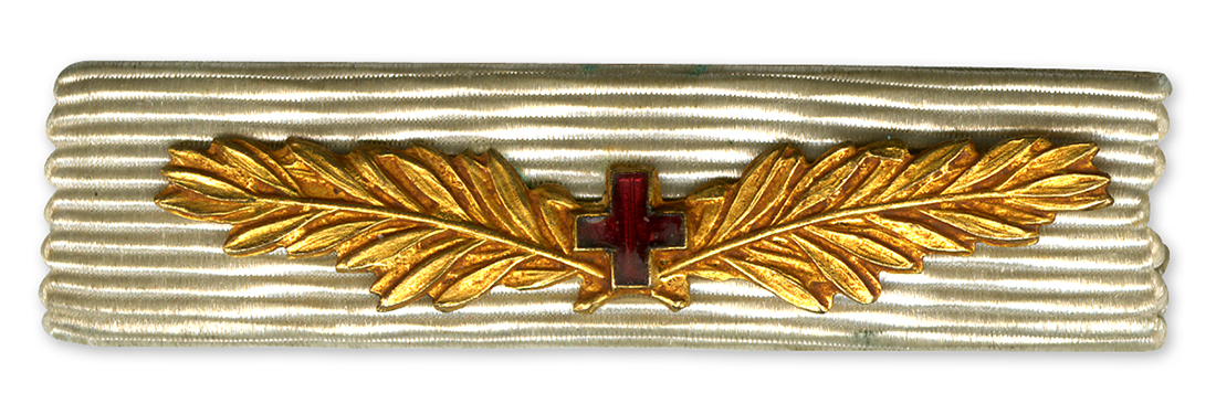 Insigne spécial en or des infirmières