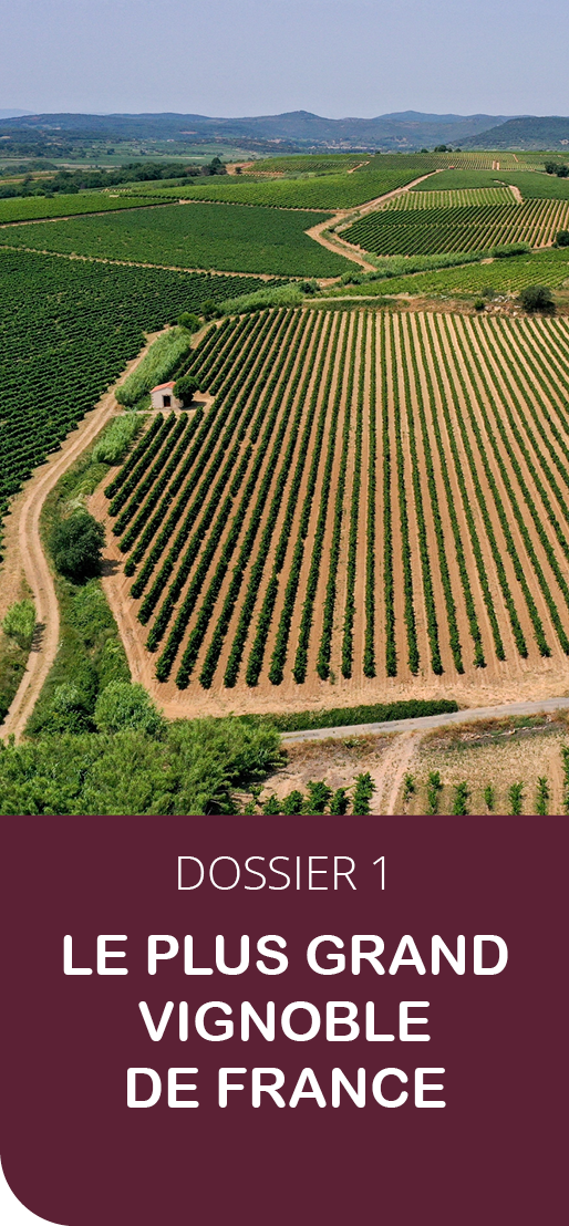 Le plus grand vignoble de France