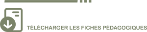 Télécharger les fiches pédagogiques