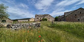 JEP 2025 - Programme en Causses et Cévennes