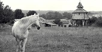 L’INVENTAIRE DU PATRIMOINE FÊTE SON ANNIVERSAIRE !