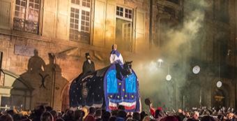 Le poulain de Pézenas