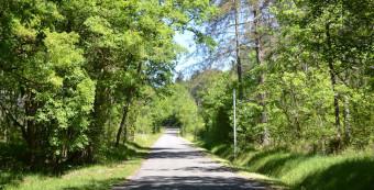 Forêt domaniale de Larrama