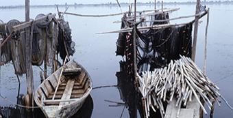 Journée d’étude : « Connaissance, conservation, valorisation des collections relatives à la pêche »