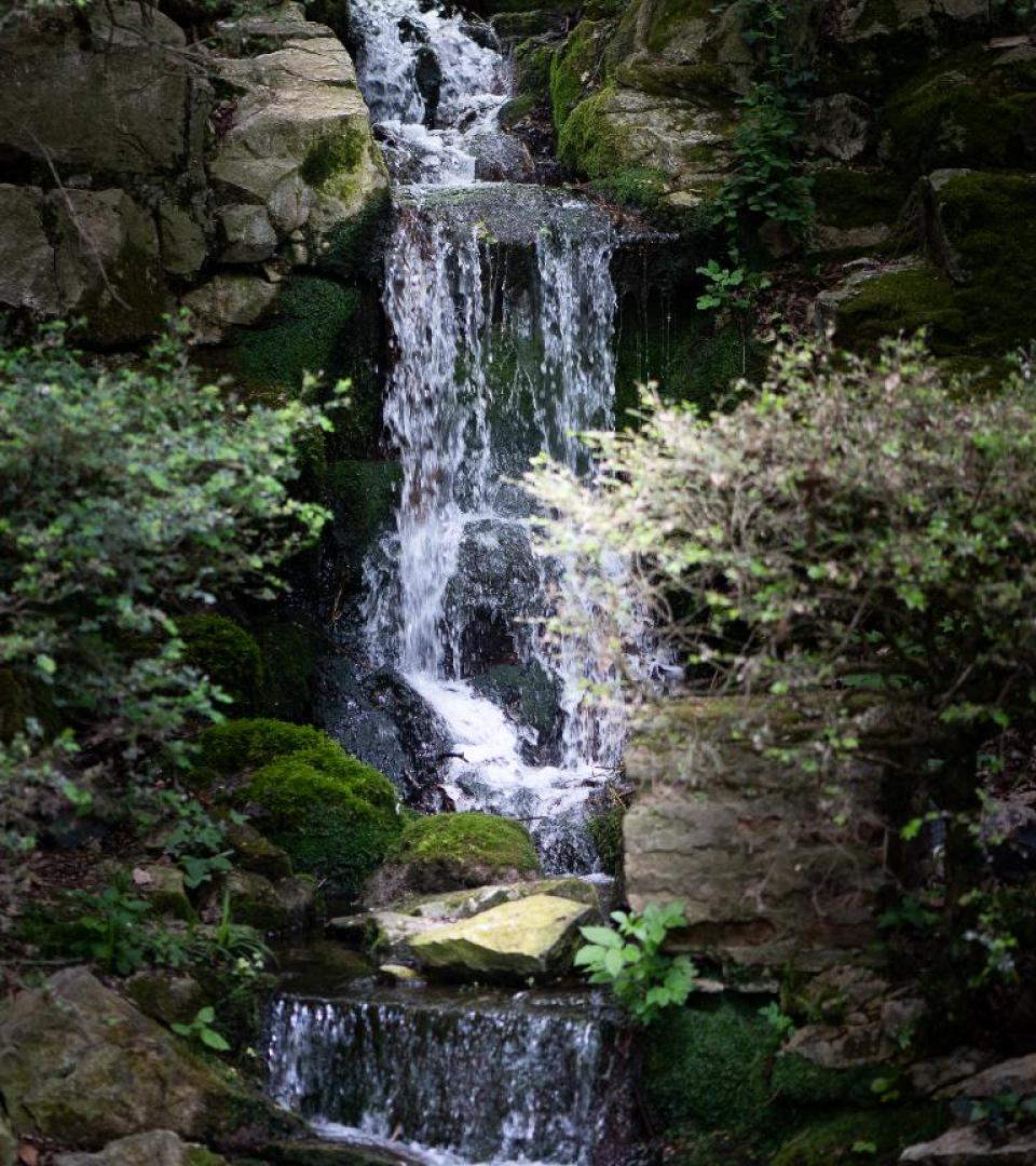 Cascade du parc. 