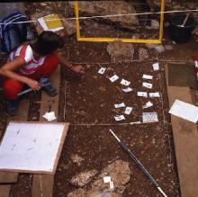 Le site archéologique des Fieux