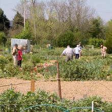 Jardins ouvriers, Auch (32)