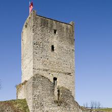 Château fort de Chanac (48)
