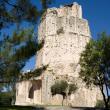 Tour Magne