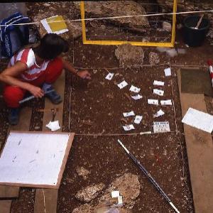 Le site archéologique des Fieux